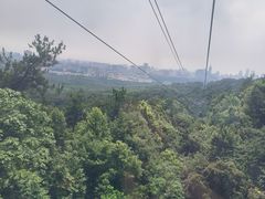 -紫金山山顶公园