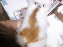 -方所(华润万象城店)