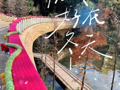 -云溪植物园