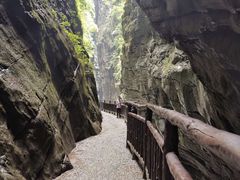 -武陵山森林公园