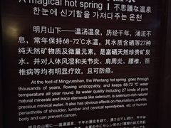 -温汤大酒店餐厅