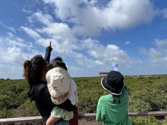 -北海金海湾红树林生态旅游区