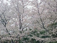 -堤角公园