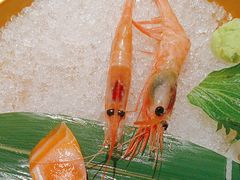 -慶の寿喜烧·和牛自助餐厅(浑南店)