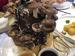 -幸福蔬·时尚蔬食(黄山湖公园店)