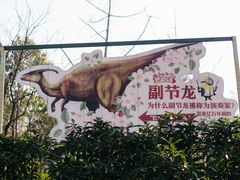 -自然谷恐龙园