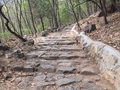 -阳台山自然风景区