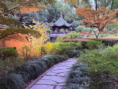 -申粤轩酒楼·三十年粤菜经典(丁香花园店)