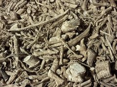 -陈李济中药博物馆