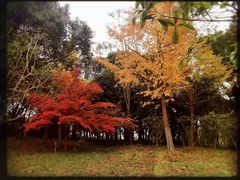 -梁鸿国家湿地公园