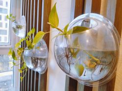 -青青一生美皮肤管理