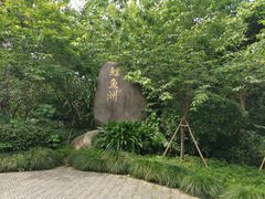 -福建鲤鱼洲酒店