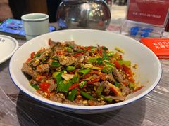 -壹盏灯(惠农店)