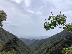 -东天目山风景区