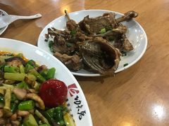 -功夫兔