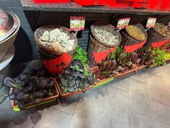 -聚福林酒楼