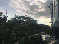 -希尔顿南海酒店·观廊大堂吧·海景下午茶
