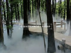 -东湖落雁景区