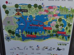 -上海海湾国家森林公园