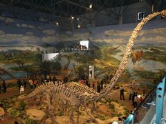 -自贡恐龙博物馆