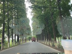 -上海长兴岛郊野公园