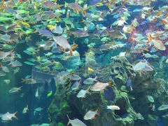 -成都浩海立方海洋公园