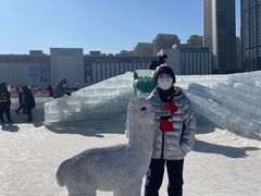 -沈阳奥体冰雪嘉年华