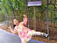 -大塘金香草谷