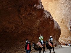 -天山神秘大峡谷