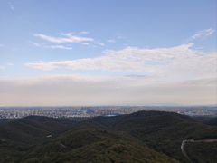 -穆老九清真牛羊肉馆(宋城店)