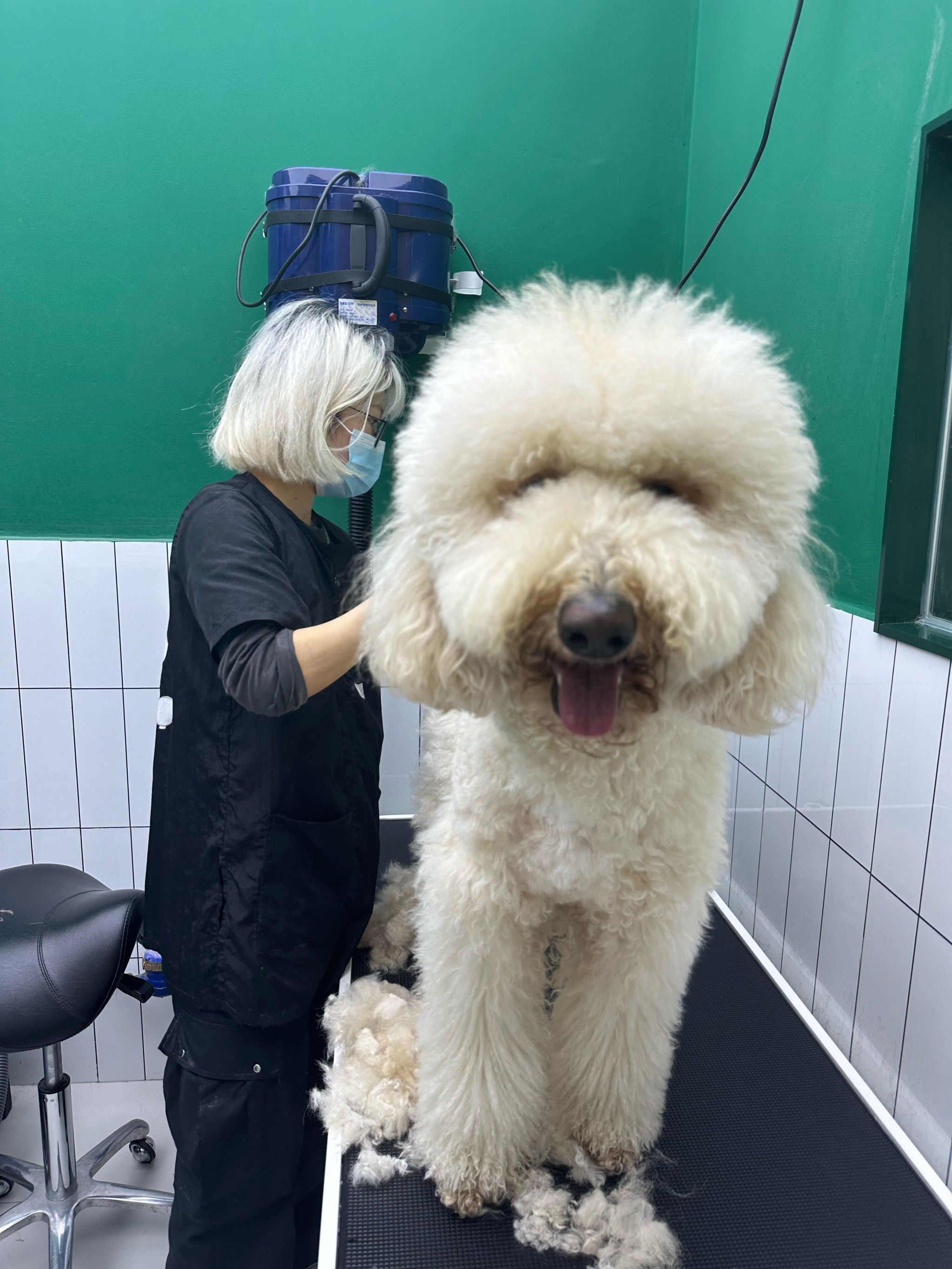 历时5小时的巨贵美容～给孩子困的