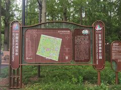 -东平国家森林公园