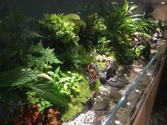 -泉寿司(万科公园店)