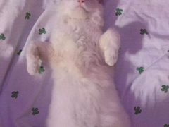 -水乡·印象咖啡馆(周庄店)