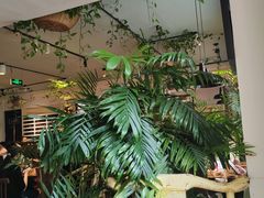 -懒人盐府人家·自贡大麻鱼(安贞店)