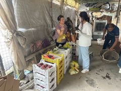 -马陆小张葡萄园农家乐