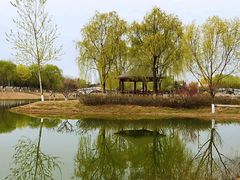 -大兴滨河森林公园