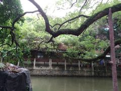 -小洲村