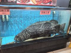 -四海之家(蛇口店)