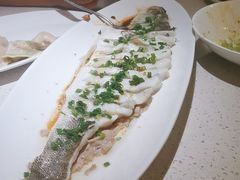 -船歌·鱼水饺青岛菜(金狮广场店)