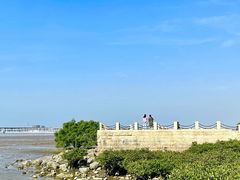 -宝安西湾红树林湿地公园