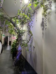 -盘子女人坊古装写真摄影(深圳店)
