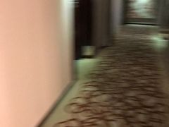 -南桥绿地铂骊酒店