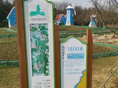 -宜兴龙背山森林公园