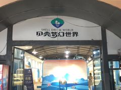 -贝壳梦幻世界