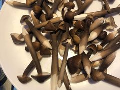 -千岛蚝高压锅生蚝·人参火锅(白云万达店)