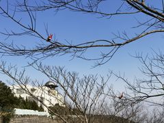 -达蓬山旅游度假区