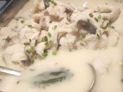 -洞庭家宴·头牌甲鱼(广渠门店)