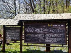 -牛背梁国家森林公园