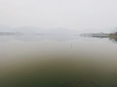 -闻泰花园酒店